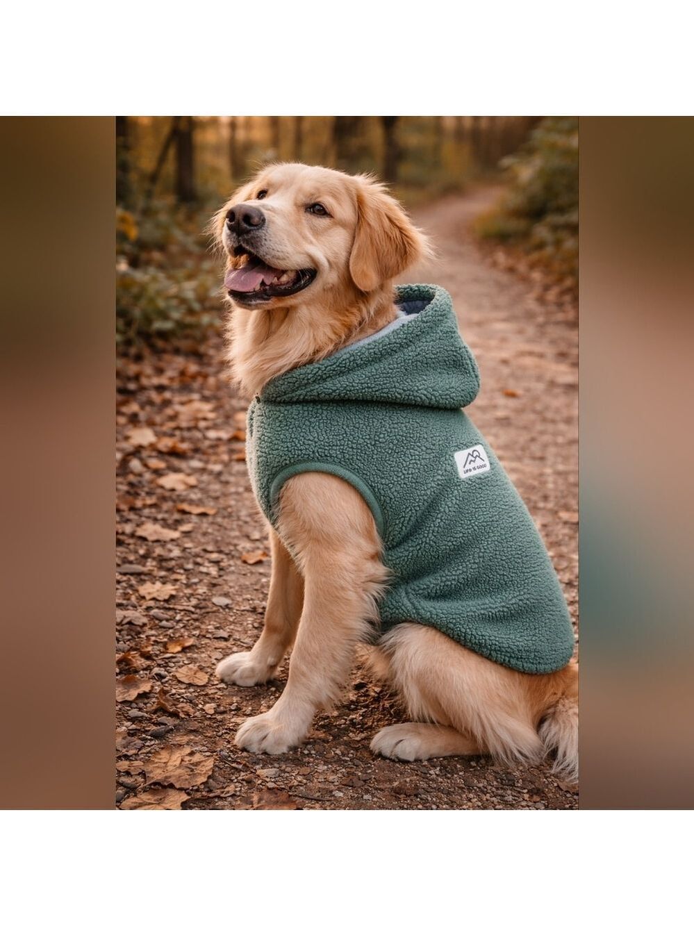 Life Is Good Sherpa Dog Hoodie Jacket – Sage Green – Medium – Cozy Winter Coat